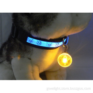Collar Lighting Safety Pendant Visible